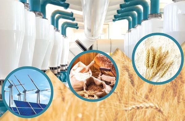 industrial solar for flour mills